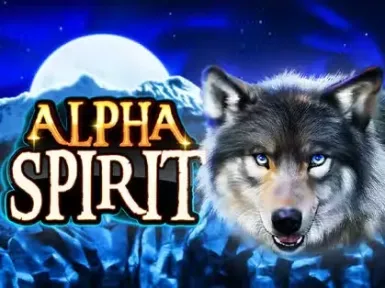 Spina Zonke screenshot